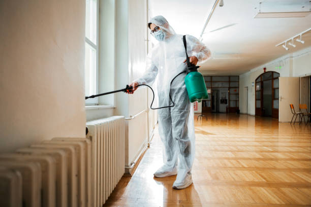 Professional Pest control in Port Isabel, TX